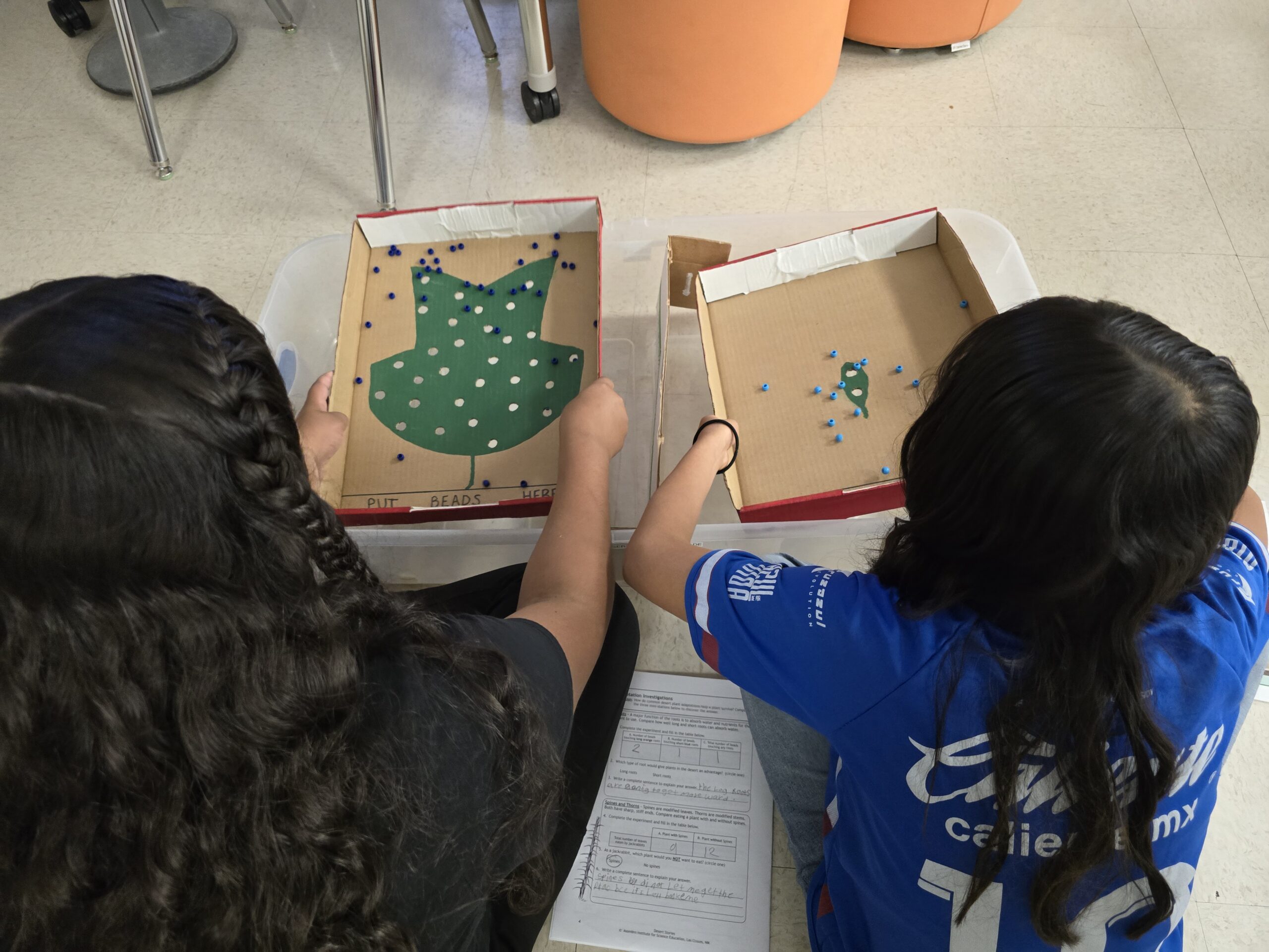 Desert Stories 4th Grade: Plant and Animal Adaptations